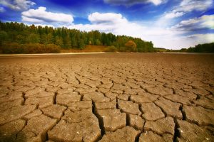 Land with dry and cracked ground